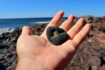The olivine stone in El Golfo
